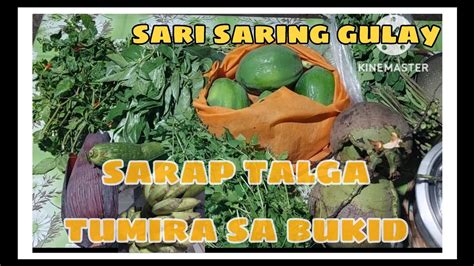 Daming lumabas na tamod sarap dilaan .